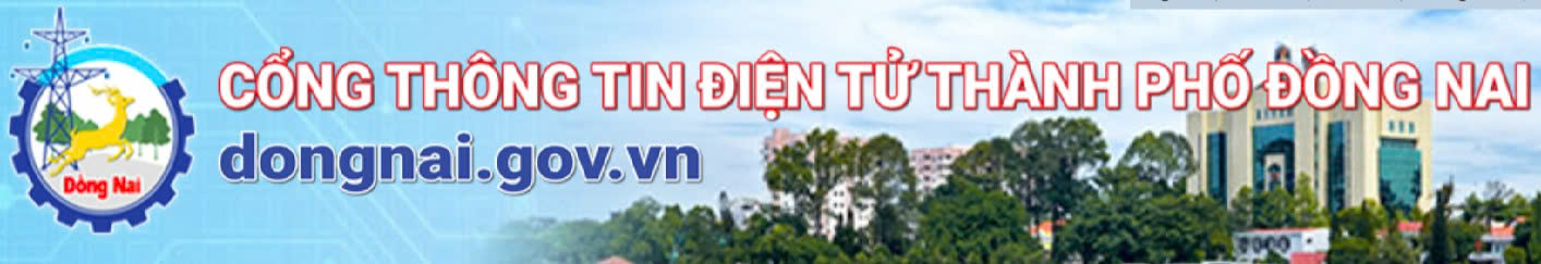 Cổng TTĐT ĐN